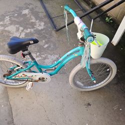 20" Wheel Working Bike