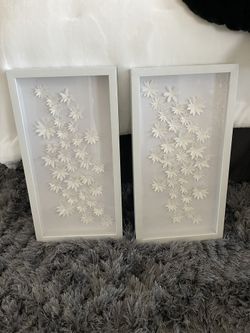 White Flower Pictures (2)