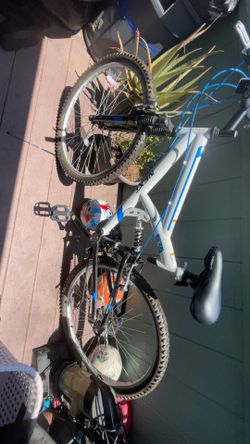 Brand new next bike