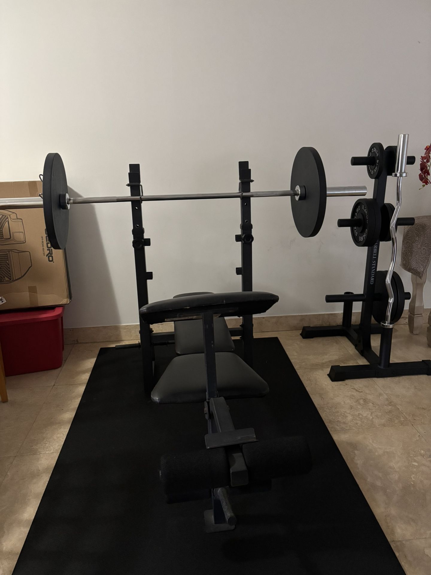 Gym Set Up