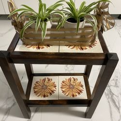 Two Spider Plants & Planter
