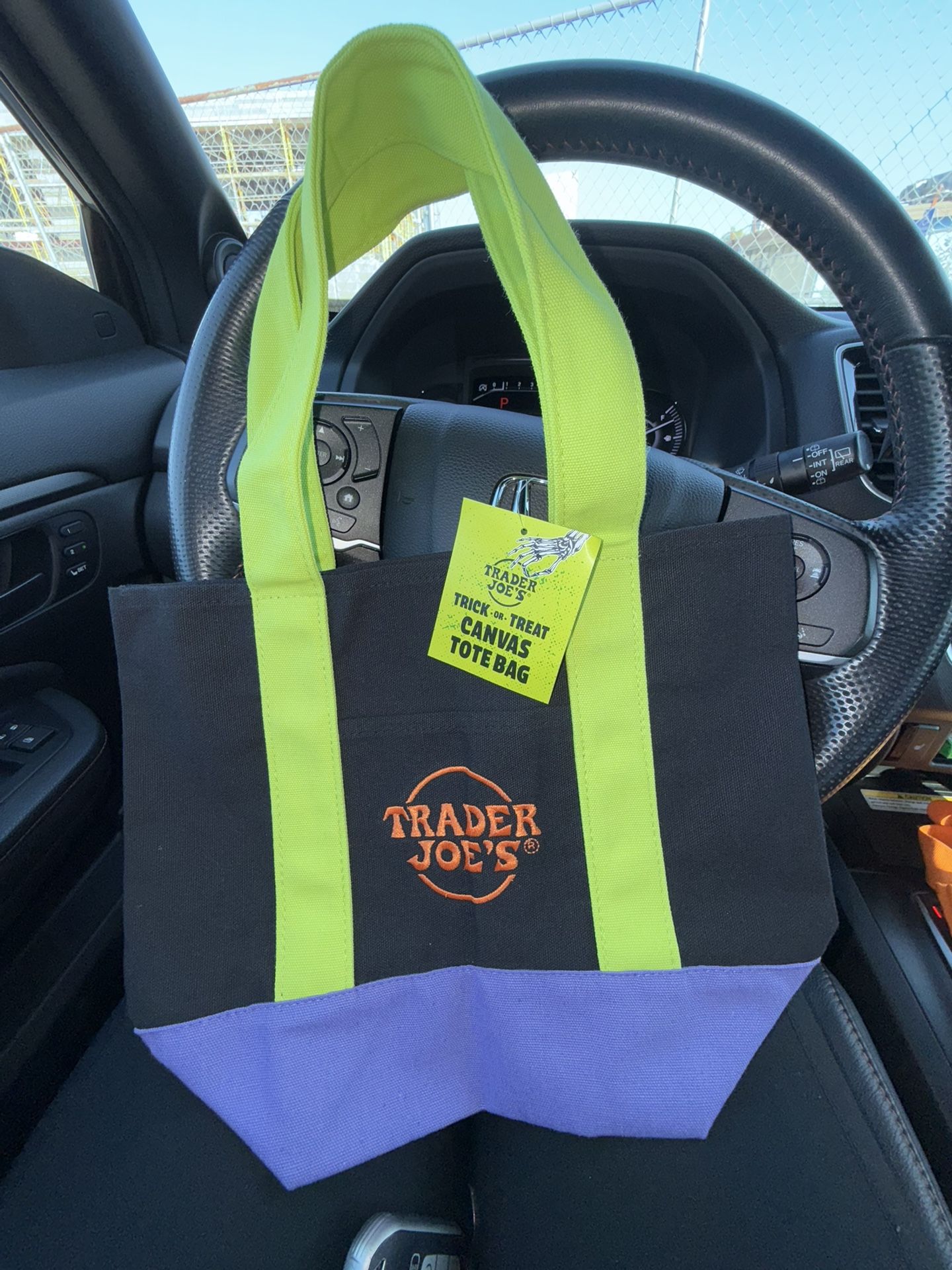 Trader Joes Mini Tote Bag