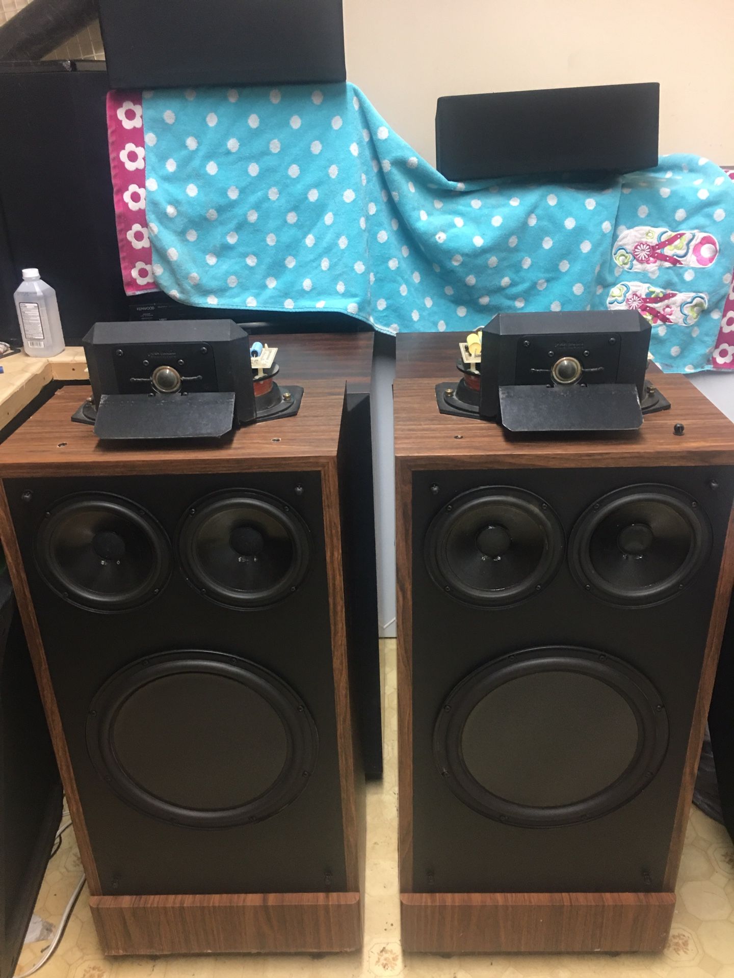 Vintage Polk Audio RTA-12 Tower Speakers Rare