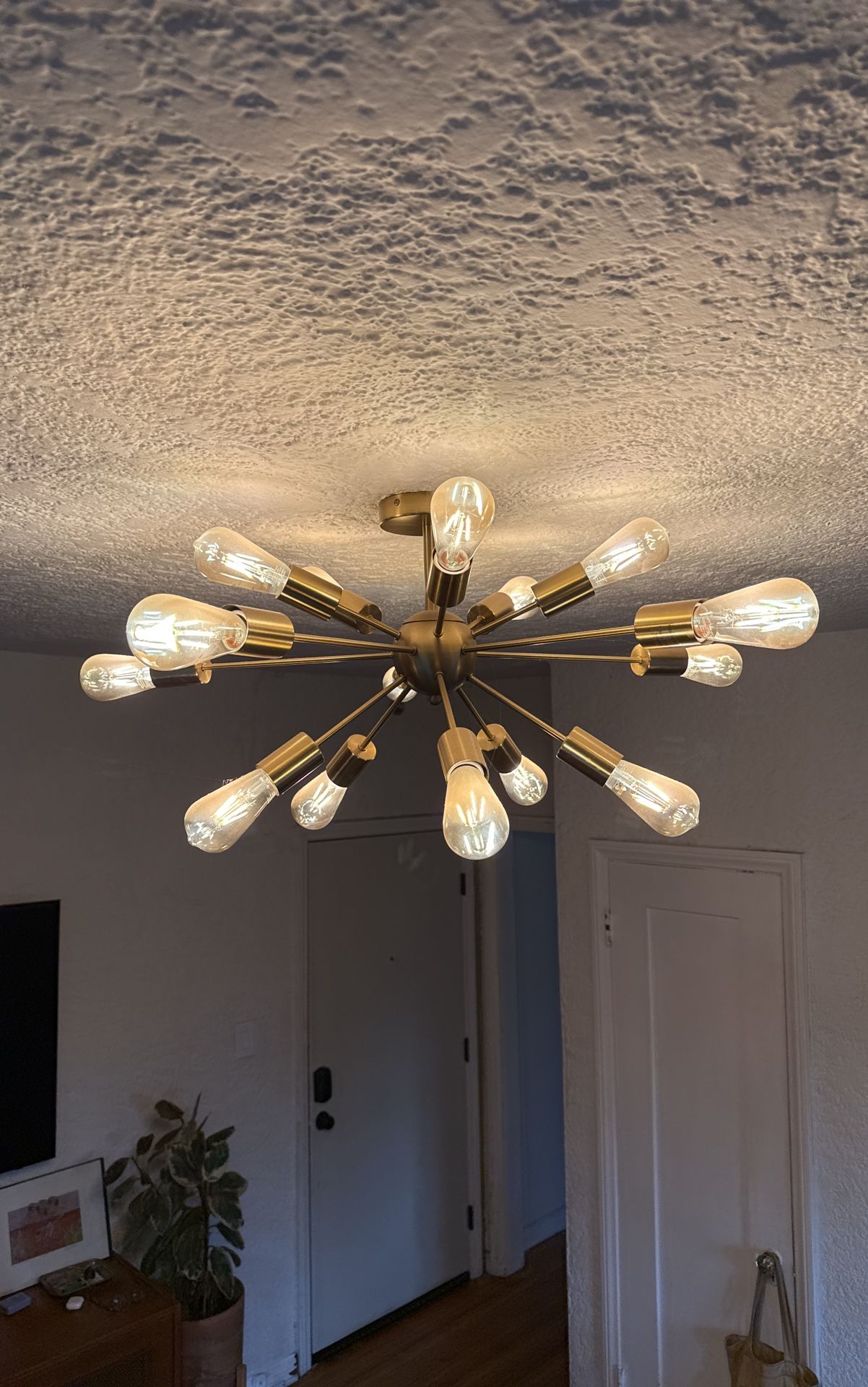 SPUTNIK LIGHT FIXTURE