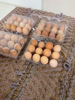 Huevos