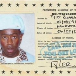 Tyler the Creator License Wall Poster 24"×36"