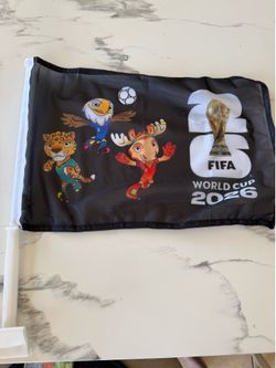 World Cup Car Flags!