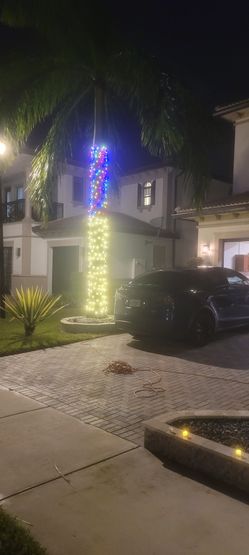 Landscape Lighting Installation