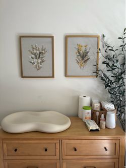 Set of 2 dried flower wall art pictures