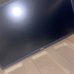 DELL Computer Monitor 