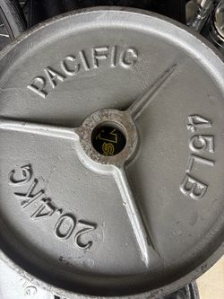 TWO 45LB PLATES