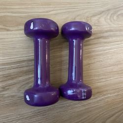 Two 5lb Weights 