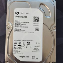 Seagte 3000gb  3.5"HDD