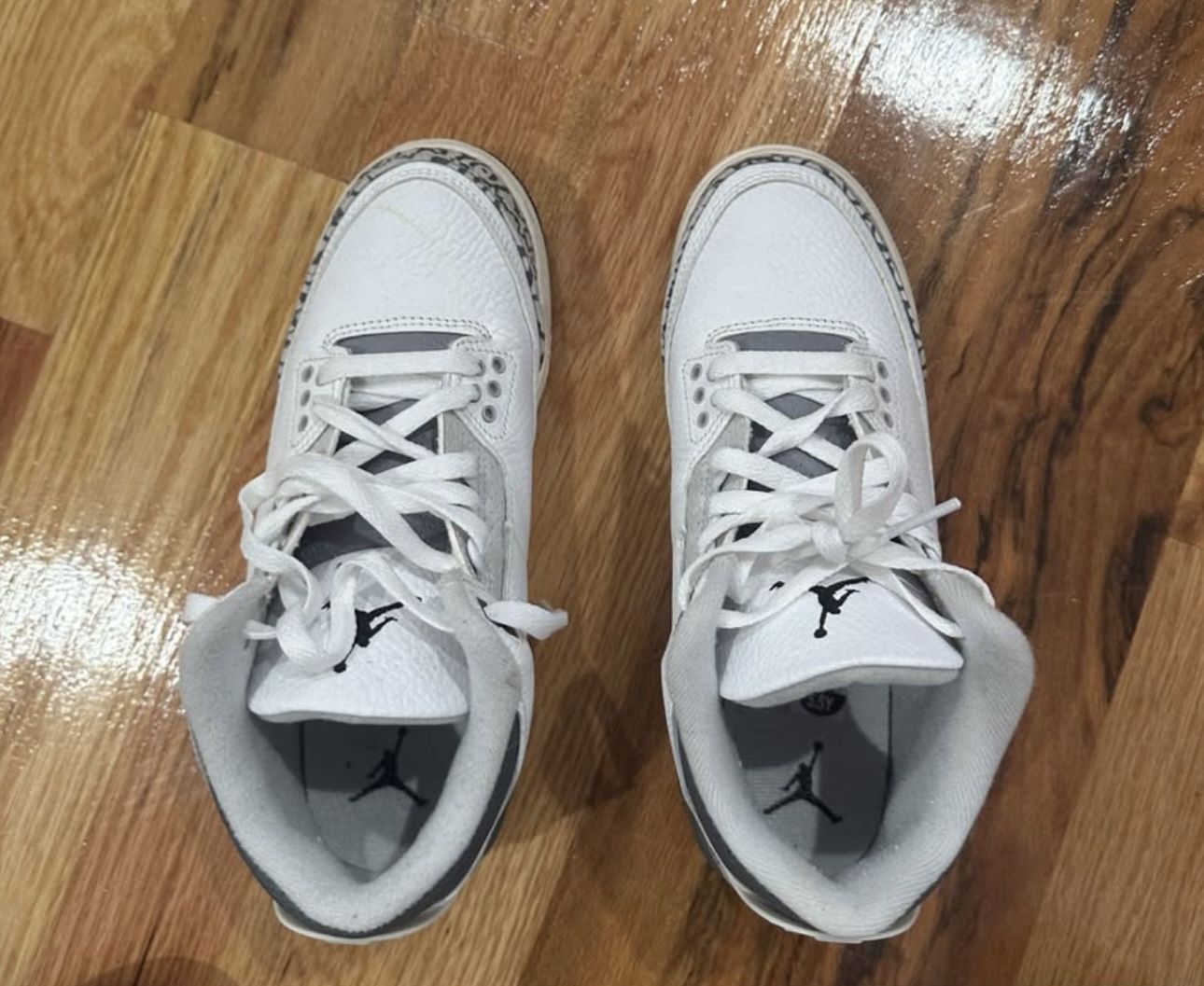 Jordan 3 Retro Hide N' Sneak (GS)