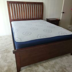 NEW QUEEN SIZE SET MATTRESS AND BOX SPRING-2PCS