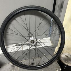650c Rim