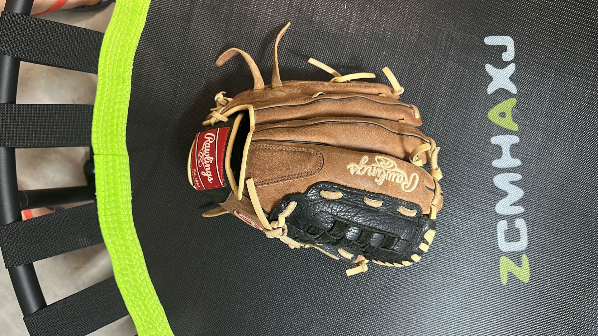 Rawlings Glove