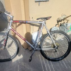 Casex Alm1  Mountain bike
