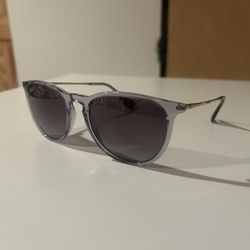 Ray-Ban Erika Sunglasses