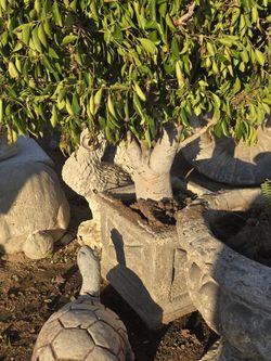 Maseteros Y Adornos Para Jardin