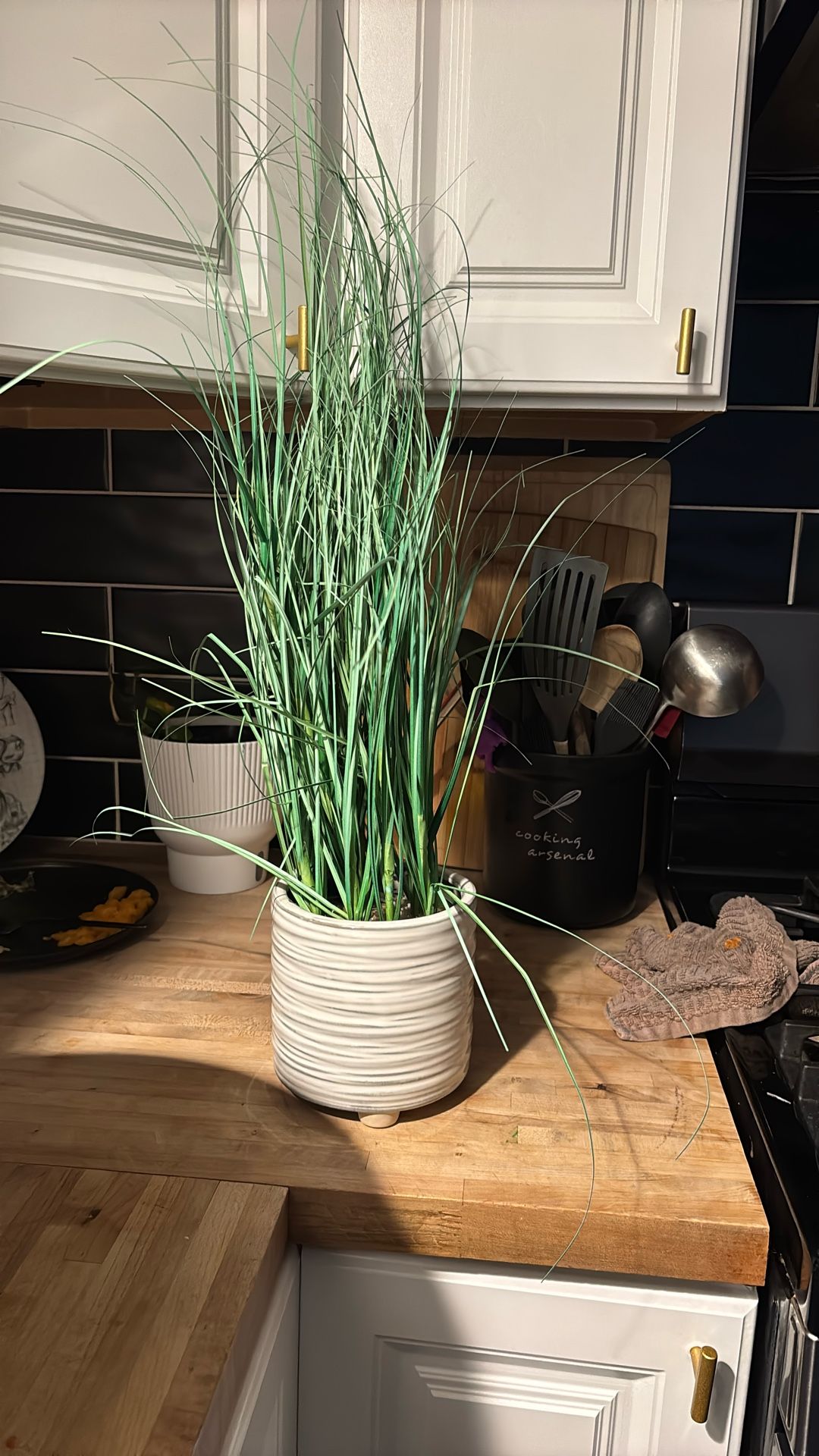 Fake Plant