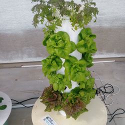 Most Productive Tower Garden (7 Sections, 28 Plant Ports)