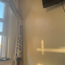 Pro Hockey Sticks Goalie