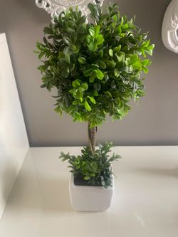 Fake plant