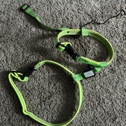 Dog Harness 