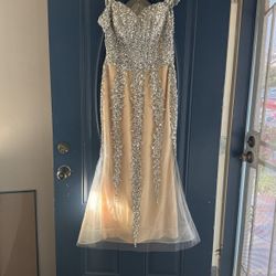 Silver Dress    Size 6
