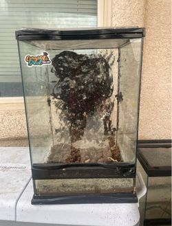 Glass Reptile Terrarium Enclosure