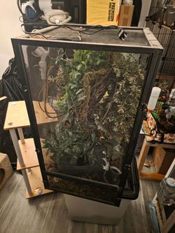 Reptile cage