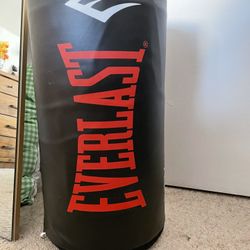 Punching Bag