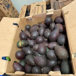 Aguacates 