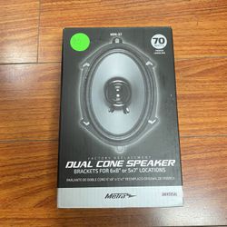 Dual Cone Speaker