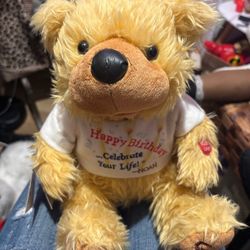 Noah The Talking Birthday Bear