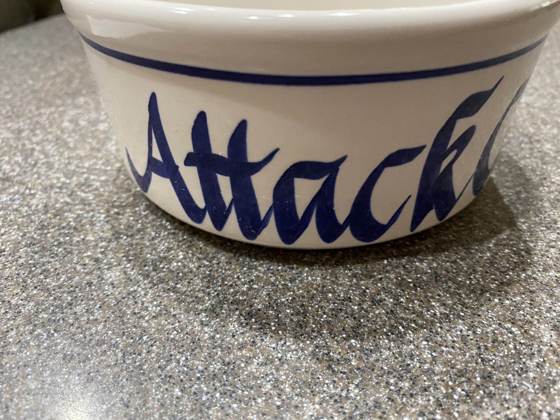 CAT Bowl “ATTACK CAT” in Blue Calligraphy Writing