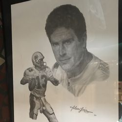 Dan Marino Miami Dolphins Portrait Artwork 