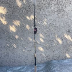 PENN Squadron® Ill Inshore Spinning Rod, 7' Medium Light