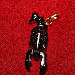 Dije De Scorpion en Oro 10k.