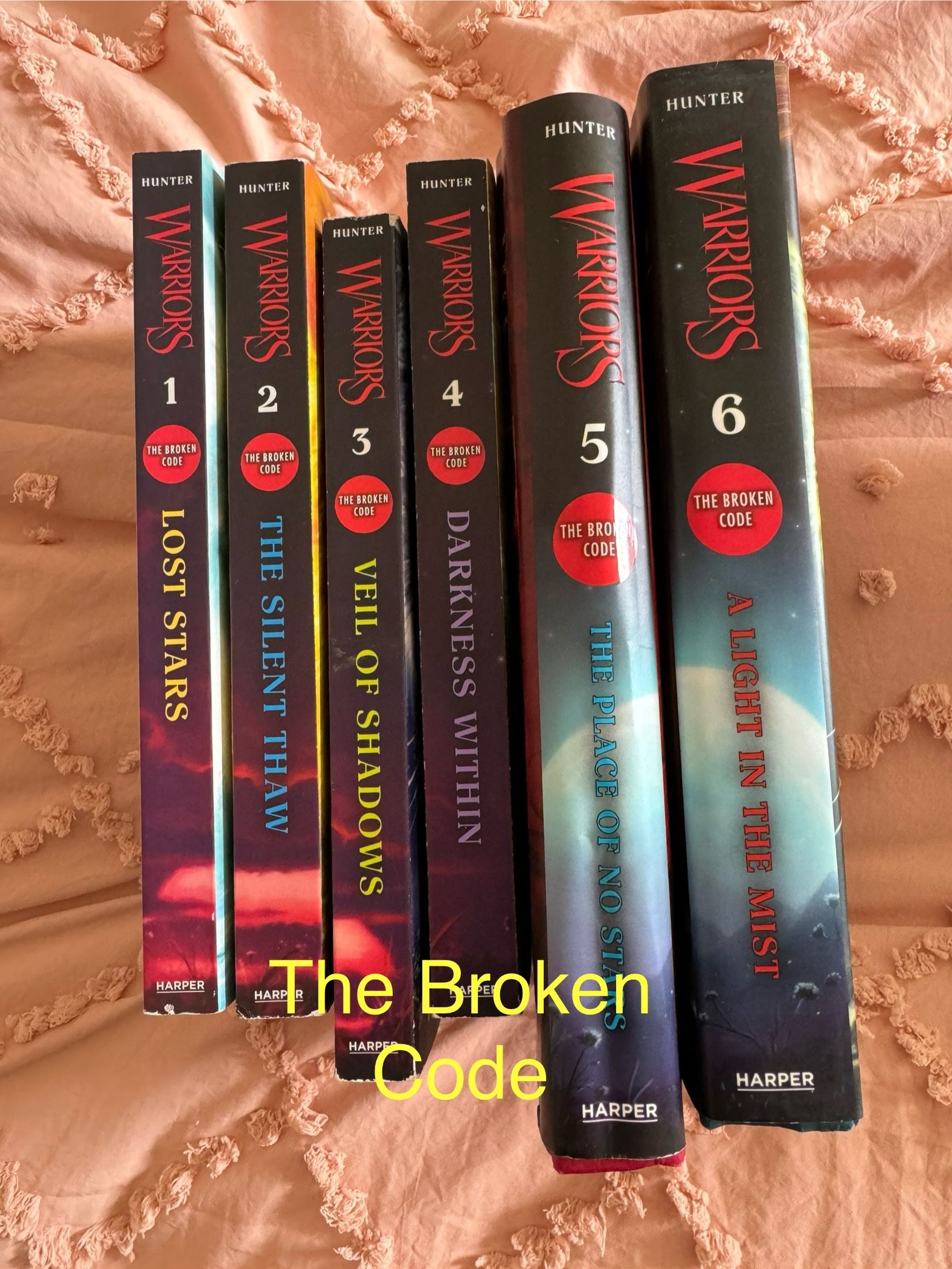 Warriors Book series