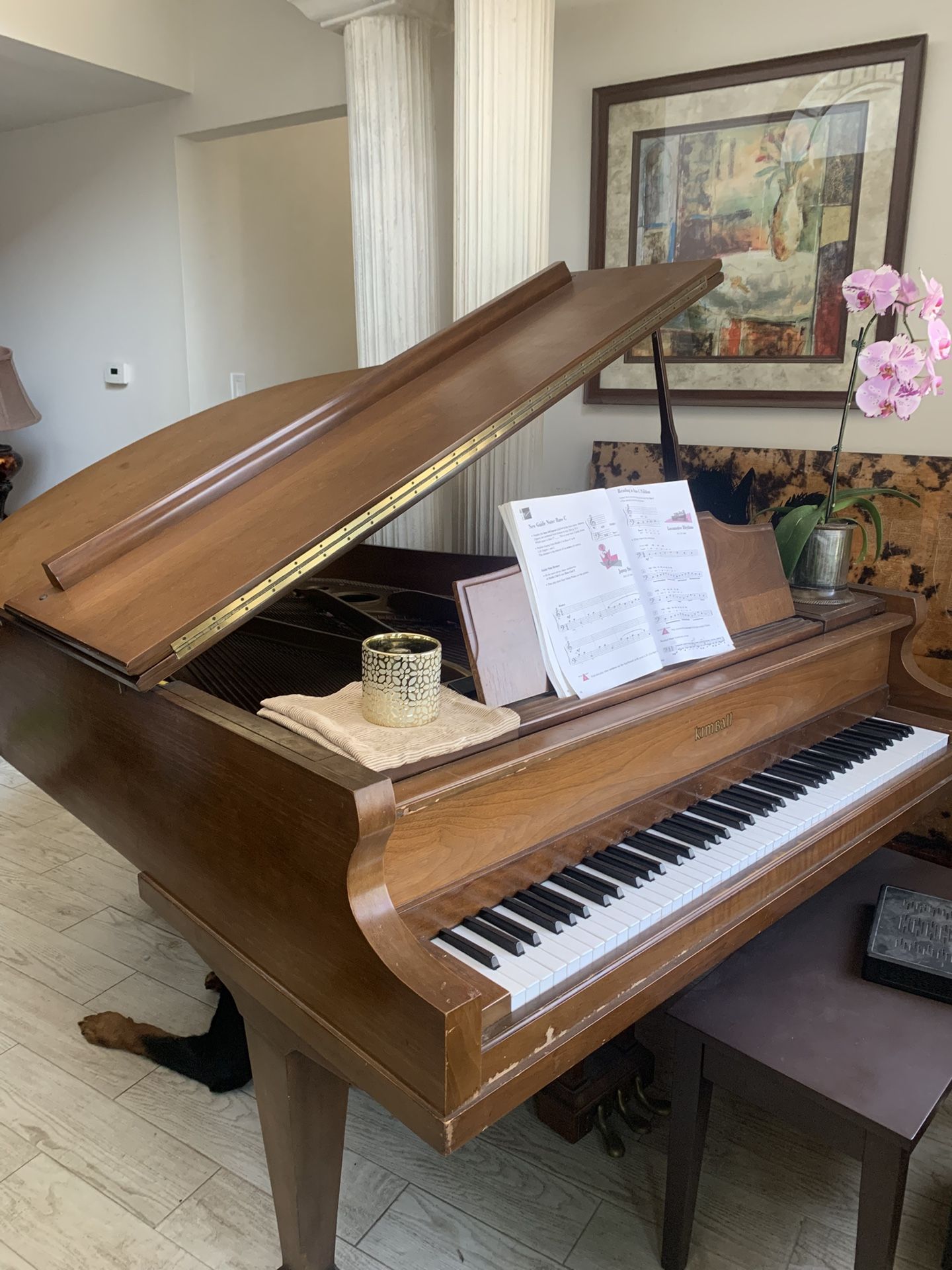 Free Grand Piano