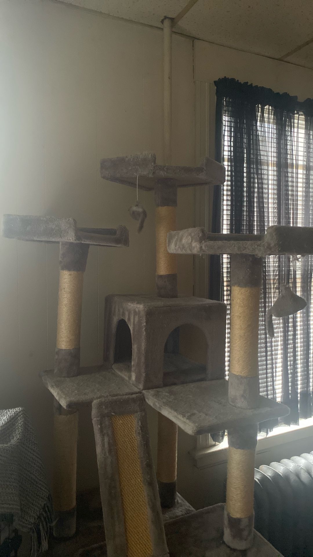 cat house 