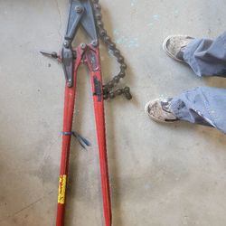 Reed Snap Cutter