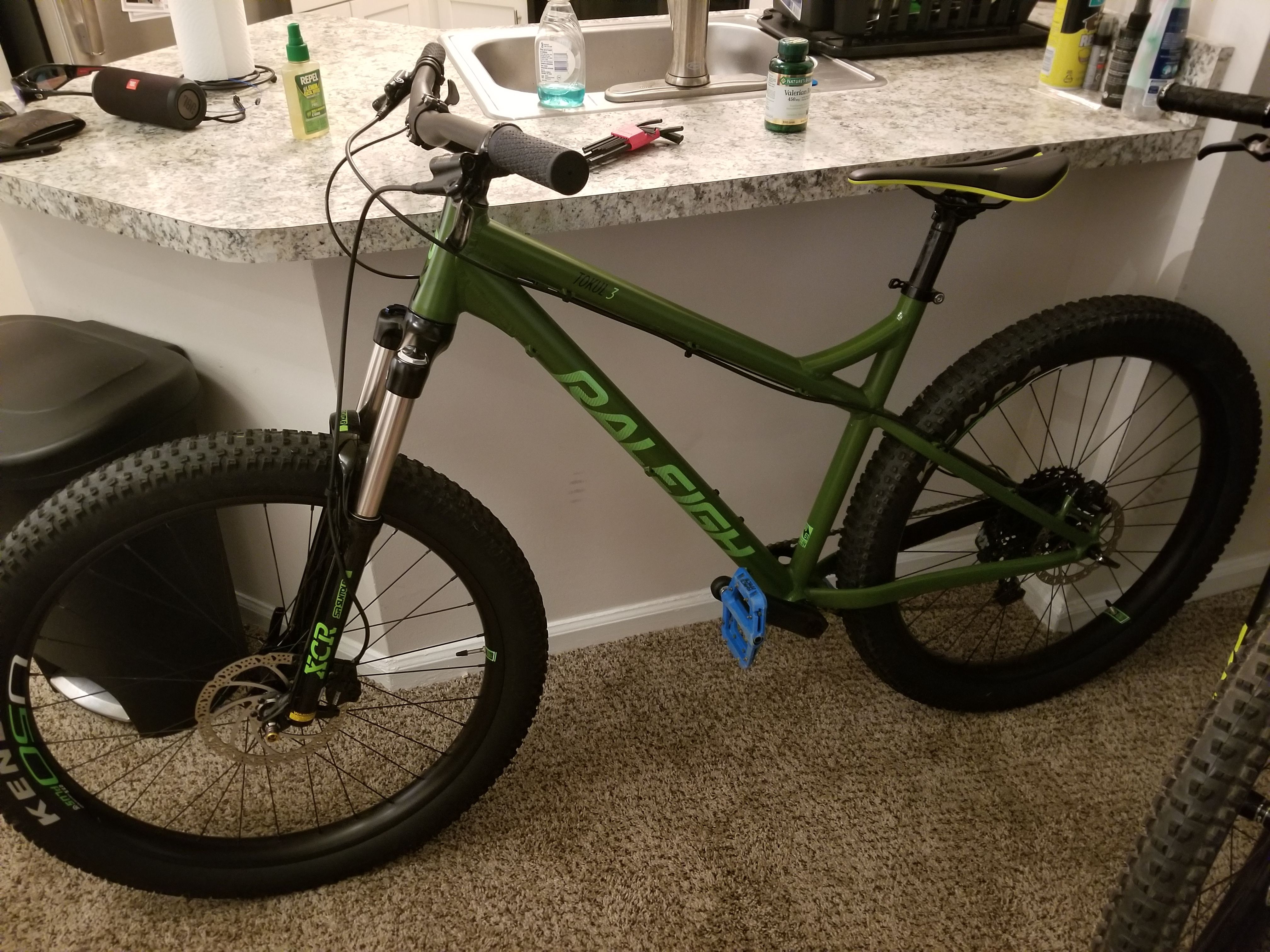 Raleigh Tokul 3 Mountain Bike