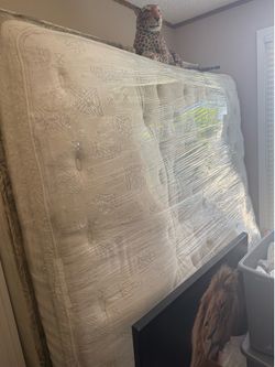 Canopy bedframe box springs queen mattress