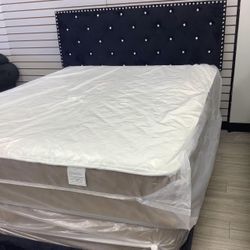 Elegance Beds Frame All Size Available Single Full King Queen 