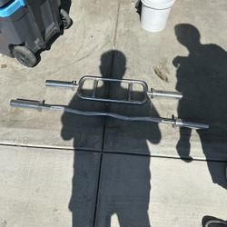 Bicep And Triceps Bar