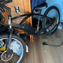Electric Bike