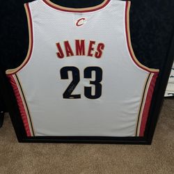 Lebron James autograph jersey UD Authentic